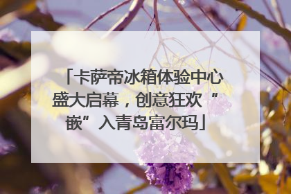 卡萨帝冰箱体验中心盛大启幕，创意狂欢“嵌”入青岛富尔玛