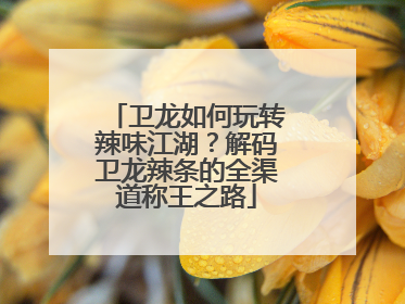 卫龙如何玩转辣味江湖？解码卫龙辣条的全渠道称王之路