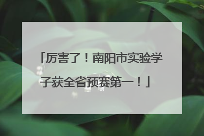 厉害了！南阳市实验学子获全省预赛第一！