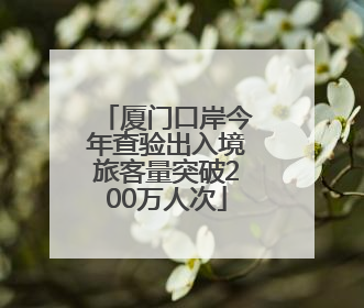厦门口岸今年查验出入境旅客量突破200万人次