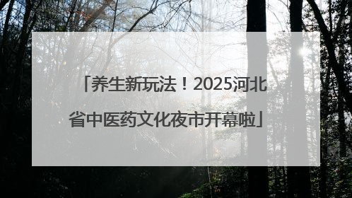 养生新玩法！2025河北省中医药文化夜市开幕啦
