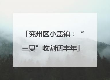 兖州区小孟镇：“三夏”收割话丰年