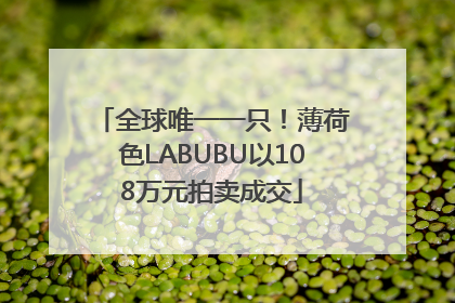 全球唯一一只！薄荷色LABUBU以108万元拍卖成交