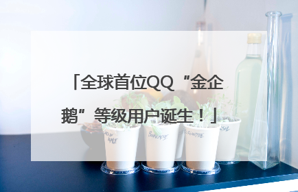 全球首位QQ“金企鹅”等级用户诞生！