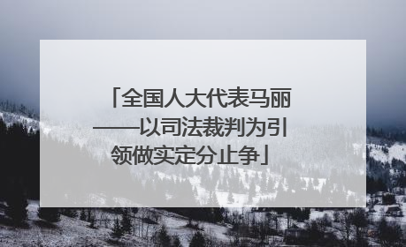 全国人大代表马丽——以司法裁判为引领做实定分止争