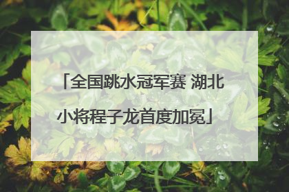 全国跳水冠军赛 湖北小将程子龙首度加冕