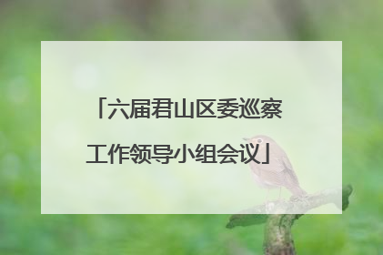 六届君山区委巡察工作领导小组会议