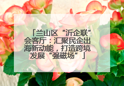 兰山区“沂企联”会客厅：汇聚民企出海新动能，打造跨境发展“强磁场”