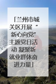 兰州市城关区开展“新心向党”主题党日活动 凝聚新就业群体奋进力量