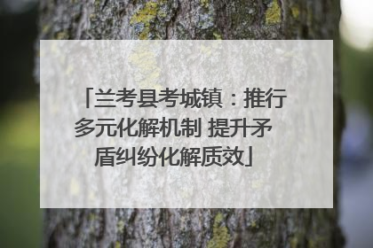 兰考县考城镇：推行多元化解机制 提升矛盾纠纷化解质效