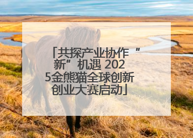 共探产业协作“新”机遇 2025金熊猫全球创新创业大赛启动