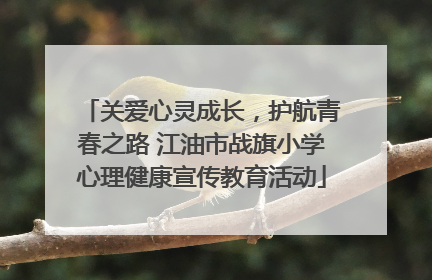 关爱心灵成长，护航青春之路 江油市战旗小学心理健康宣传教育活动