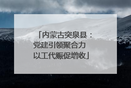 内蒙古突泉县：党建引领聚合力 以工代赈促增收
