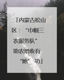 内蒙古松山区：“巾帼三农服务队” 助农增收有 “她” 功