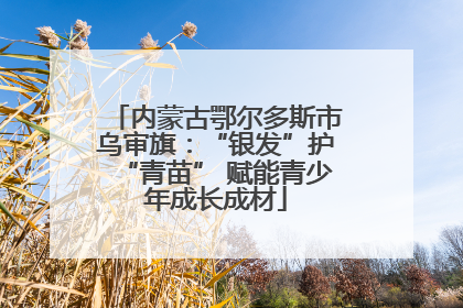 内蒙古鄂尔多斯市乌审旗：“银发”护“青苗” 赋能青少年成长成材