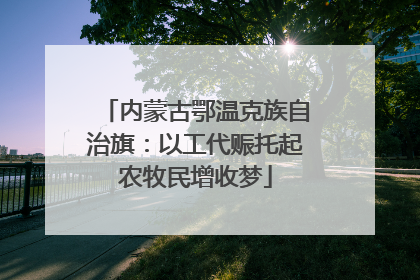 内蒙古鄂温克族自治旗：以工代赈托起农牧民增收梦