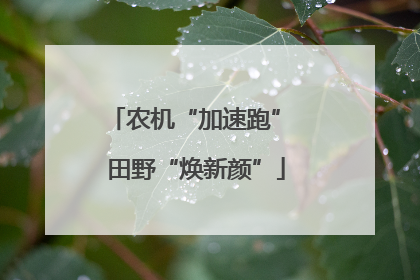 农机“加速跑” 田野“焕新颜”