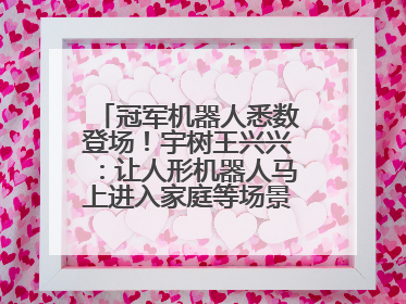 冠军机器人悉数登场！宇树王兴兴：让人形机器人马上进入家庭等场景并不现实