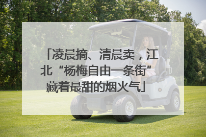凌晨摘、清晨卖，江北“杨梅自由一条街”藏着最甜的烟火气
