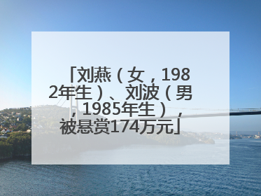 刘燕（女，1982年生）、刘波（男，1985年生），被悬赏174万元