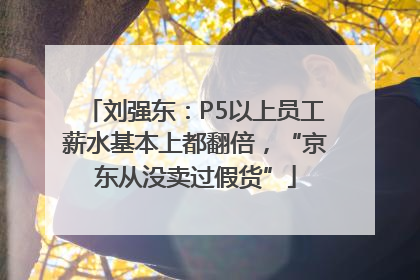 刘强东：P5以上员工薪水基本上都翻倍，“京东从没卖过假货”