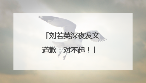 刘若英深夜发文道歉：对不起！