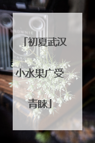 初夏武汉小水果广受青睐