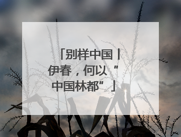 别样中国丨伊春，何以“中国林都”