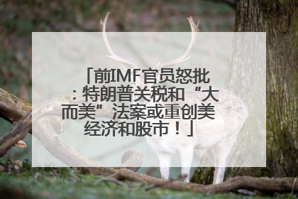 前IMF官员怒批：特朗普关税和“大而美”法案或重创美经济和股市！