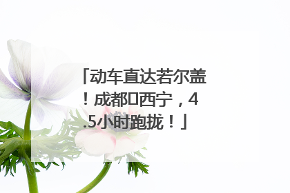 动车直达若尔盖！成都⇄西宁，4.5小时跑拢！
