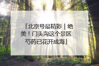 北京号最精彩｜绝美！门头沟这个景区芍药已花开成海