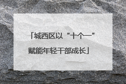 城西区以“十个一”赋能年轻干部成长