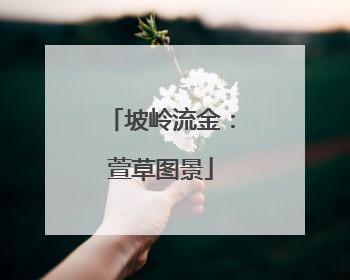 坡岭流金：萱草图景