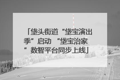 垡头街道“垡宝演出季”启动 “垡宝治家”数智平台同步上线