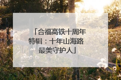 合福高铁十周年特辑：十年山海路 最美守护人