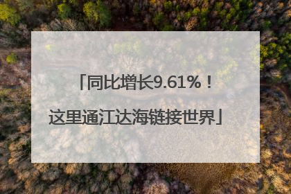 同比增长9.61%！这里通江达海链接世界