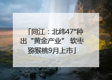 同江：北纬47°种出“黄金产业” 软枣猕猴桃9月上市