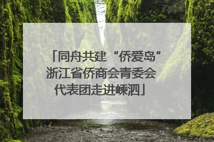 同舟共建“侨爱岛” 浙江省侨商会青委会代表团走进嵊泗