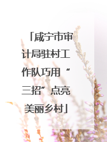 咸宁市审计局驻村工作队巧用“三招”点亮美丽乡村
