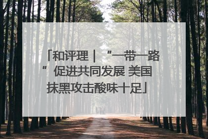 和评理｜“一带一路”促进共同发展 美国抹黑攻击酸味十足