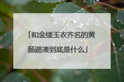 和金缕玉衣齐名的黄肠题凑到底是什么