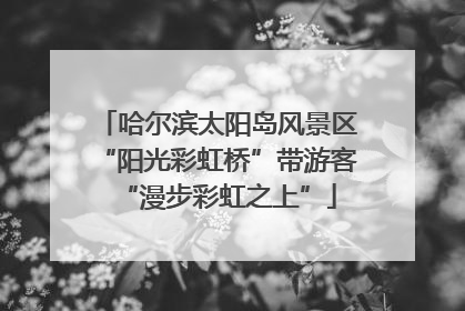 哈尔滨太阳岛风景区“阳光彩虹桥”带游客“漫步彩虹之上”