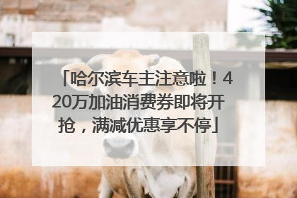 哈尔滨车主注意啦！420万加油消费券即将开抢，满减优惠享不停