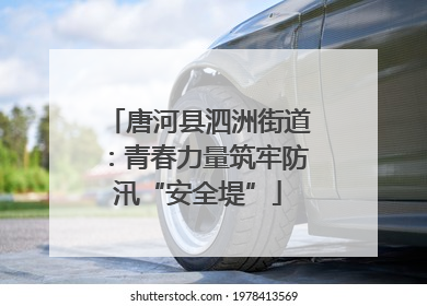 唐河县泗洲街道：青春力量筑牢防汛“安全堤”