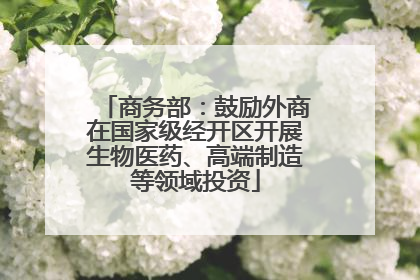 商务部：鼓励外商在国家级经开区开展生物医药、高端制造等领域投资