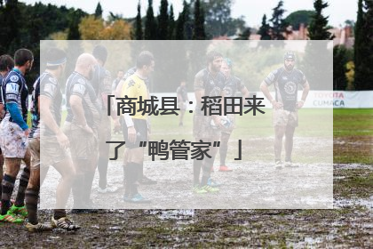 商城县：稻田来了“鸭管家”