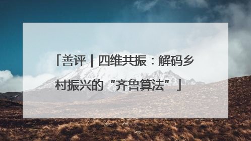 善评｜四维共振：解码乡村振兴的“齐鲁算法”