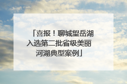喜报！聊城望岳湖入选第二批省级美丽河湖典型案例