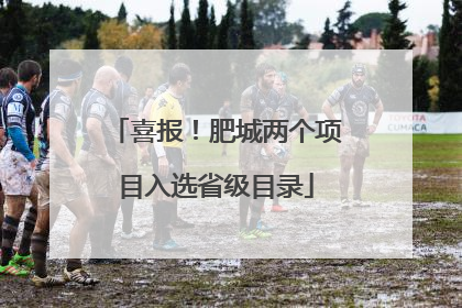 喜报！肥城两个项目入选省级目录