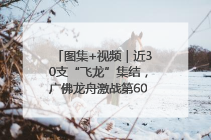 图集+视频｜近30支“飞龙”集结，广佛龙舟激战第60届荔湾“沙溪景”